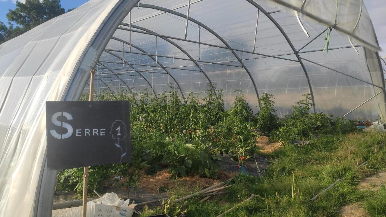 Eco-Gite A La Ferme D'Elles Saint-Andre-de-l'Epine Eksteriør billede